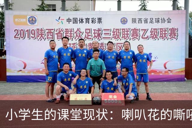 小学生的课堂现状：喇叭花的嘶吼与沉默